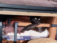 /album/06-03-2026/whatsapp-image-2026-03-06-at-10-00-05-2-jpeg/